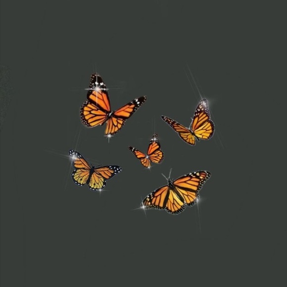 Meet your Posher, Camryn - Picture 1 of 1